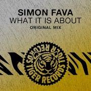 Simon Fava What It Is About