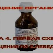 Евгений Лебедев Очищение Организма
