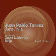 Juan Pablo Torrez Jara David Leckenby Remix