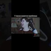 У Ласки Имеется Проблема Она Не Может Перестать Убивать