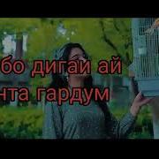 Хай Бо Ту Дигаи Ай Чонта Гардем