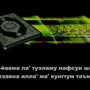 Oybek Rahmonov Baqara Surasi