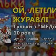 Гурт Козятинські Козаки Ой Летіли Журавлі