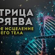 Мощная Матрица Гаряева Исцелении Всего Организма