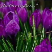 Damchknar Iebs დამჭკნარი იები Lyrics