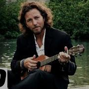 Eddie Vedder Long Nights