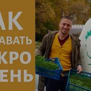 Улыбнулся Сити Фермер