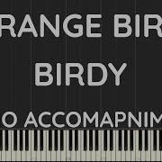 Birdy Strange Birds Piano Accompaniment