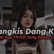 Dj Tangkis Dang