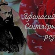 Сентябрьская Роза Фет