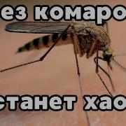 А Комаров А Знаешь