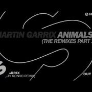 Animals Jay Ronko Remix Martin Garrix