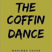 The Coffin Dance Marimba Remix