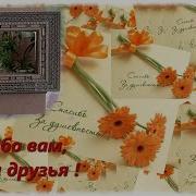 Полянская Юлия Спасибо Вам