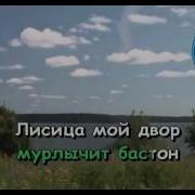 Слоненок Алиса В Зазеркалье