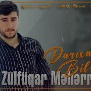 Zülfüqar Meherremov Darixanlar Biler