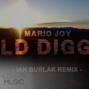 Mario Joy Gold Digger Paw Jar Remix