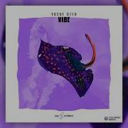 Yusuf Ozer Vibe