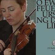 O Ewiges Feuer O Ursprung Der Liebe Bwv 34 Recitative Herr Unsre