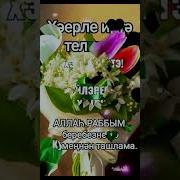 Видео С Добрым Утром На Татарском Языке