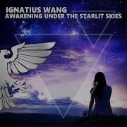 Awakening Under The Starlit Skies Extended Mix State Control Records