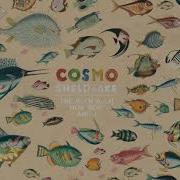 Cosmo Sheldrake Hocking Instrumental Edit