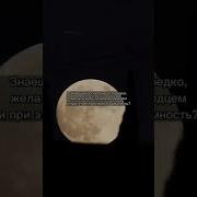 Короткие Видео О Любви
