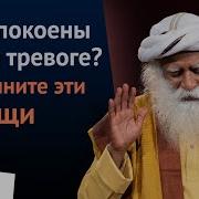 Как Быть Счастливым Всегда 128 Советов Которые Избавят Вас От Стресса И Тревоги