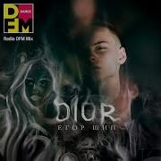 Егор Шип Dior Dfm Mix