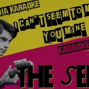 I Can T Seem To Make You Mine The Clientele Instrumental