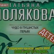 Татьяна Полякова Чудо В Пушистых Перьях