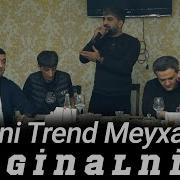 Trend Meyxana