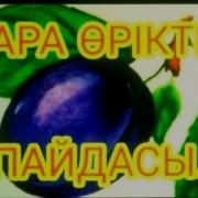 Женская Қара Өрик