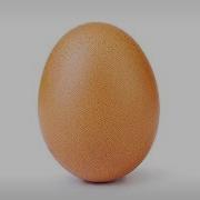 Egg Cg5