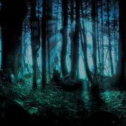 Chopin Mysterious Forest