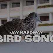 Bird Song Jay Hardway