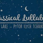 Lullaby Dreamers Swan Lake