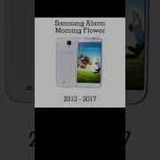 Morning Flower Meme