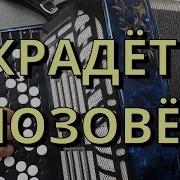 Украдет И Позовет Тебя Темная Ночь На Баяне