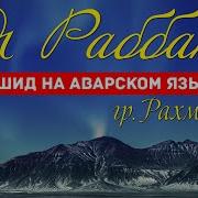 Нашид Раббана Я Раббана