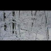 Шлетгауэр Дмитрий
