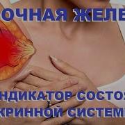 Мастопатия Брт