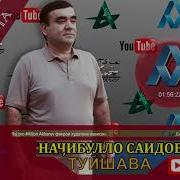 Начибулло Саидов Туй Шавад