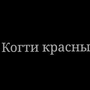 Жених И Невести Тили Тили Теста Красотка Невеста Голову Кружит Меме