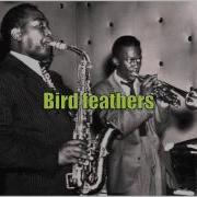 Bird Feathers Charlie Parker