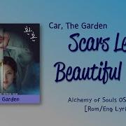 Scars Leave Beautiful Trace