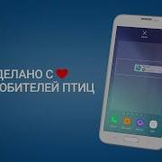 Рингтоны На Смартфон Пение Птиц