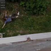 Ну Чё Народ Погнали Нахой Умер