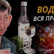 Вся Правда О Водке