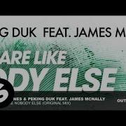 Peking Duk You Are Like Nobody Else Feat James Mcnally